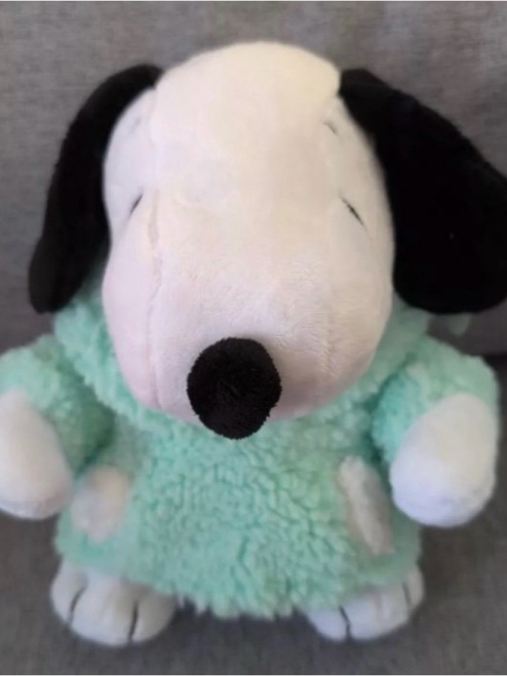 Peanuts Plush Snoopy Dog with Mint Fleece Hoodie  BNWT